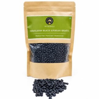 Fyonli Himalayan Black Soybean (Bhatt) pouch, front view on white background