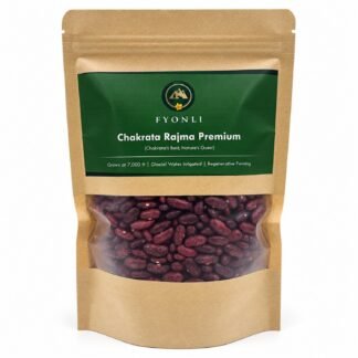 Fyonli Chakrata Rajma Premium pouch, front view on white background
