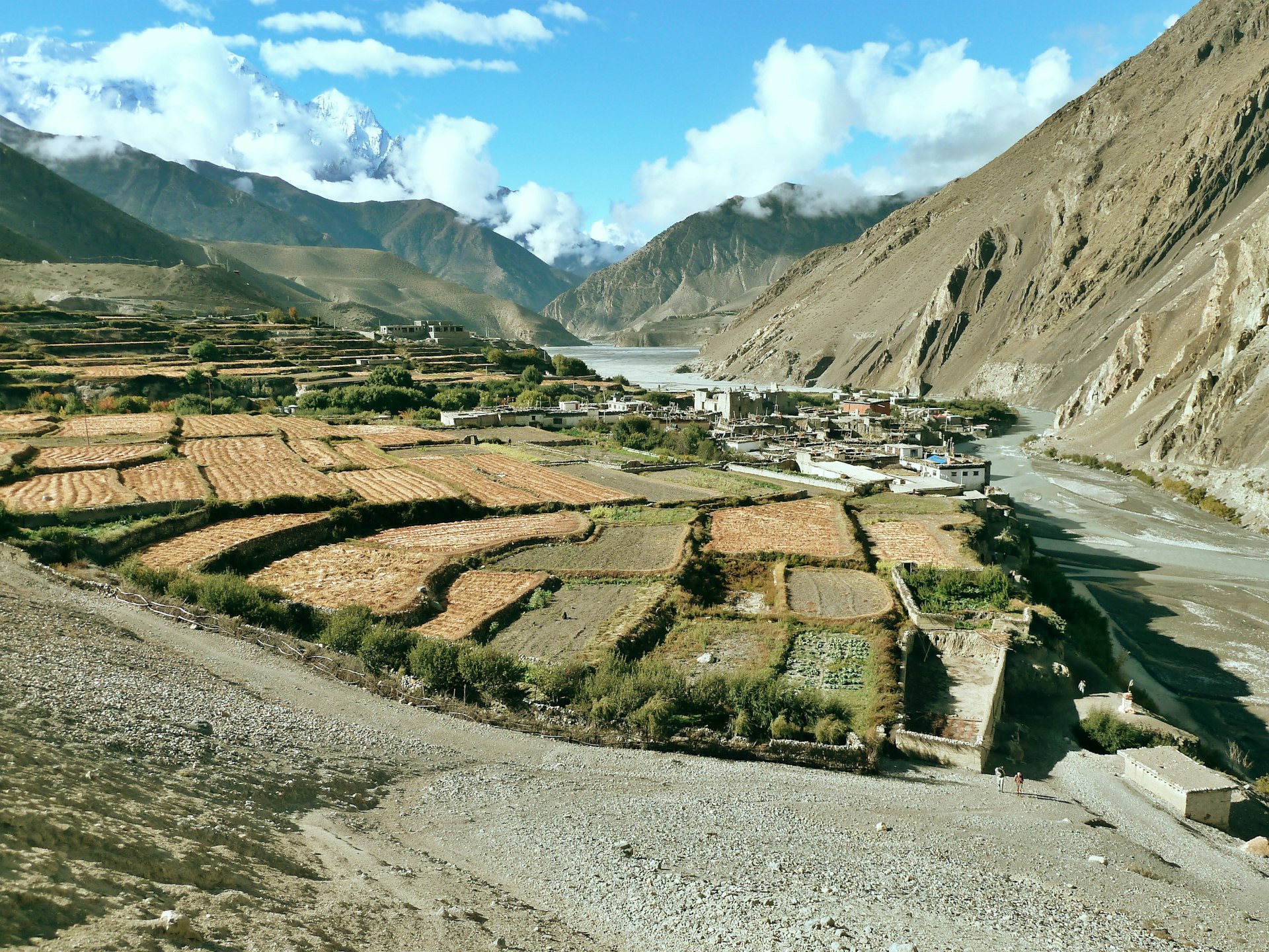 how altitude affects nutrition — terraced farming fields in the Himalayan mountains